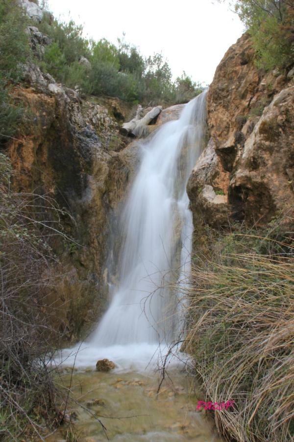 AguasBlanquillas Coto Rios Extérieur photo