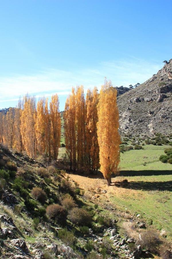 AguasBlanquillas Coto Rios Extérieur photo