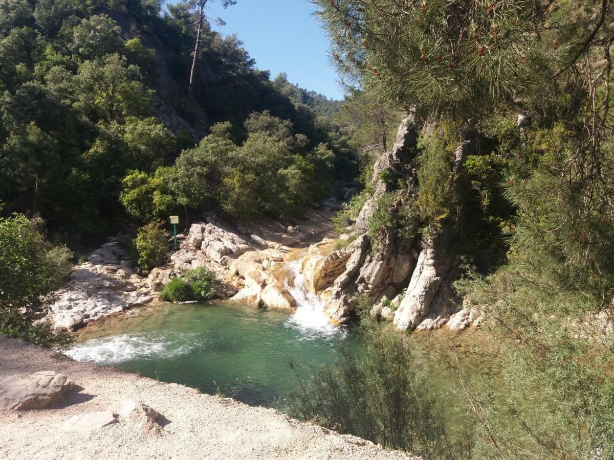 AguasBlanquillas Coto Rios Extérieur photo